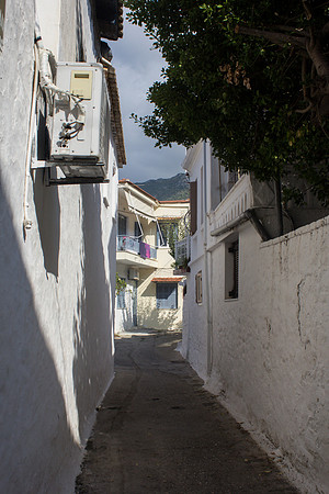 nika-229