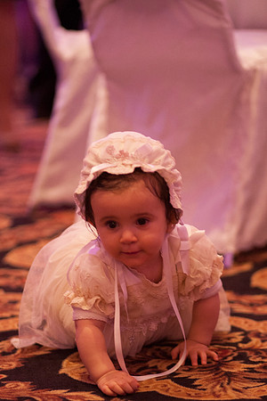 IMG_7242-2